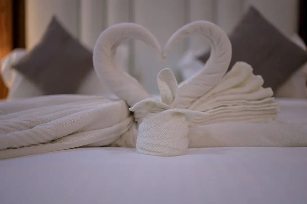 Why Munnar is the Ideal Honeymoon Destination: Best Luxury Hotels, Resorts & Cottages for Couples