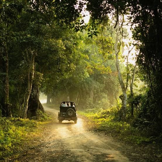 Jeep Safari in Munnar: What to Expect, Routes and Booking Tips