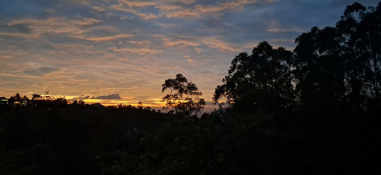 Capture Memories: Hotel White House Munnar Photos