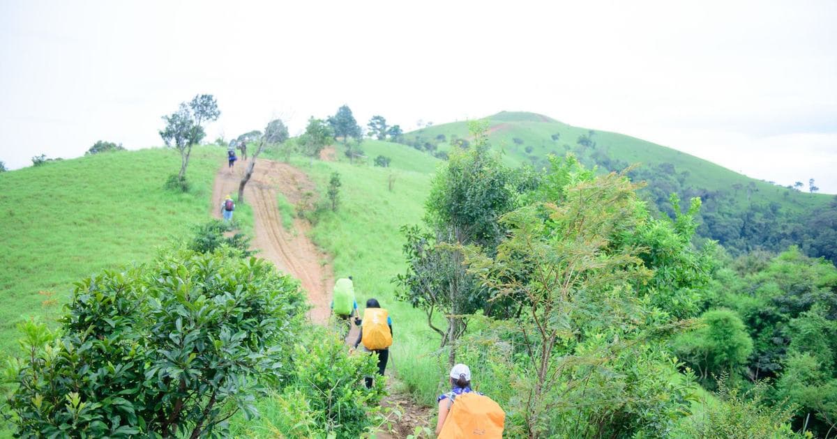 Trekking Trails Around Munnar for Every Fitness Level